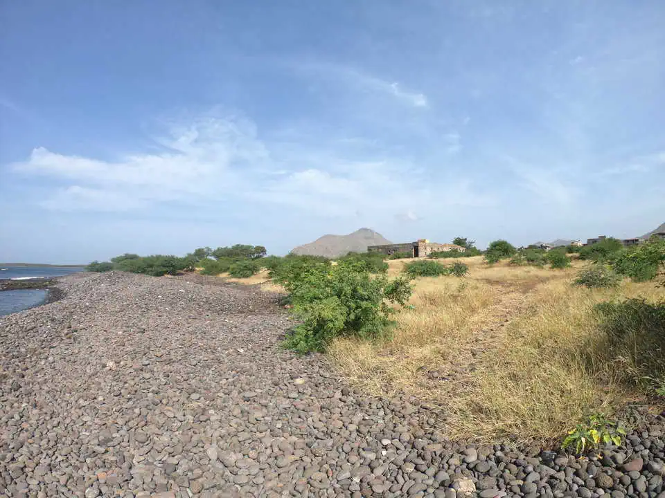 Cape Verde Grass Field