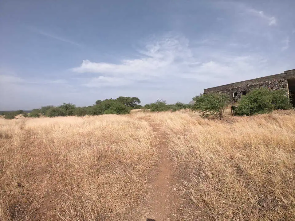 Cape Verde Grass Field