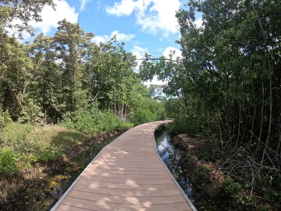 Curaçao Rif Mangrove Park