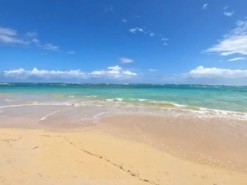 Dominican Republic Playa Punta Popy