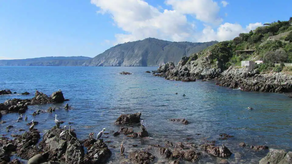Chile Quintay