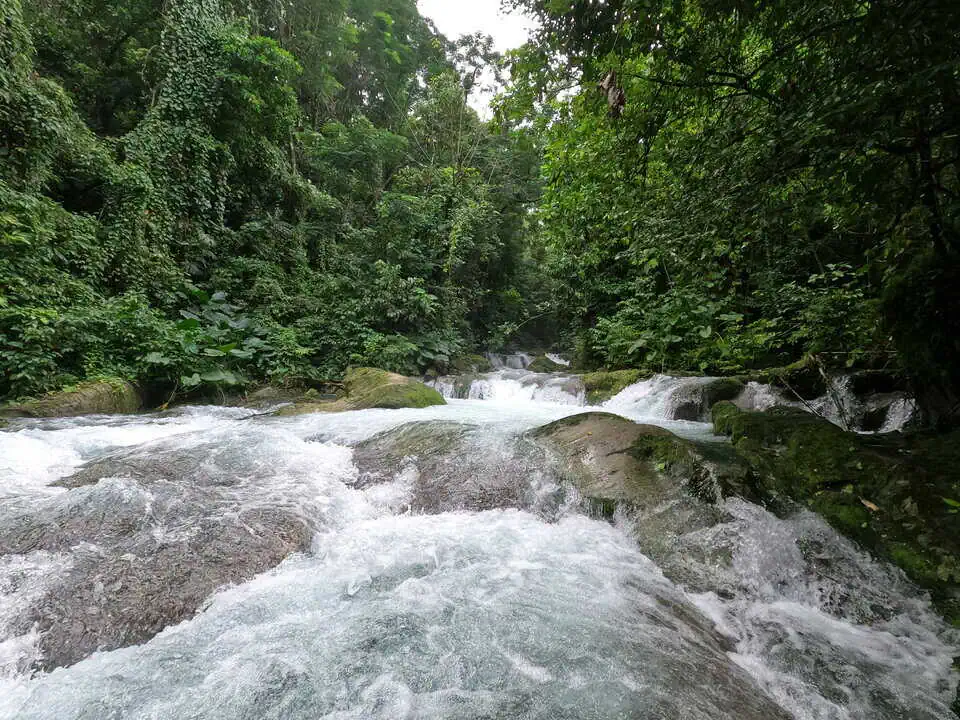 Jamaica Reach Falls