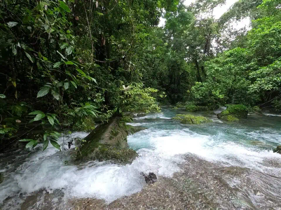 Jamaica Reach Falls