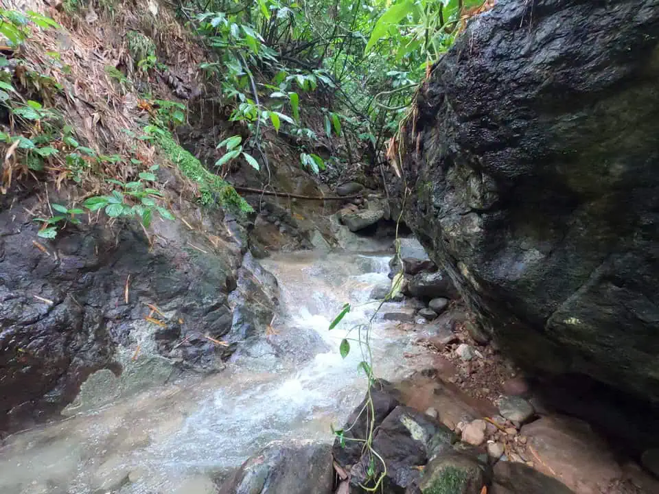 Jamaica Waterfall close to Nanny Falls
