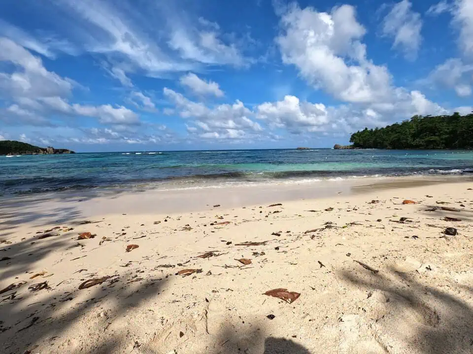 Jamaica Winnifred Beach