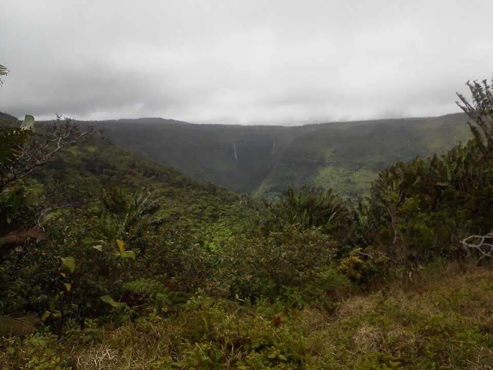 Mauritius Black River Gorges National Park