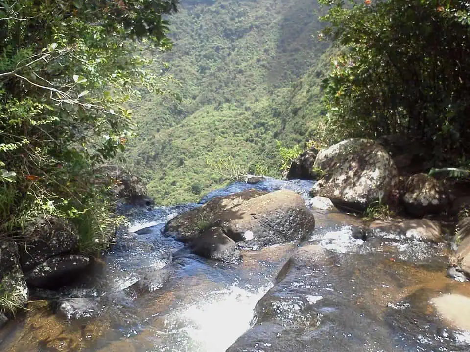 Mauritius Black River Gorges National Park