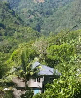 Airbnb Port Antonio