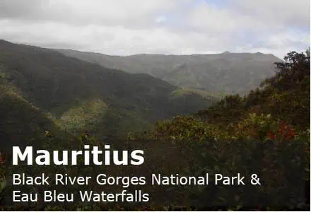 Mauritius National Park and Waterfalls
