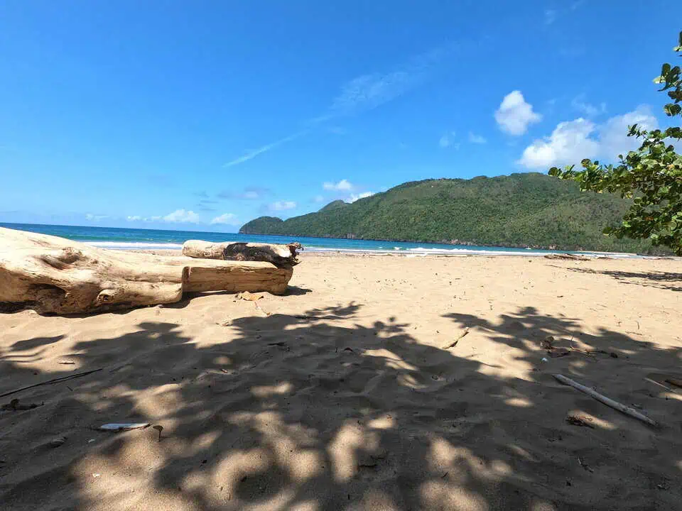 Playa El Valle