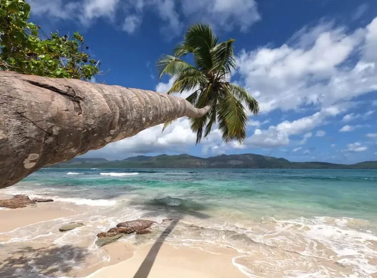 Las 9 Playas Las Galeras