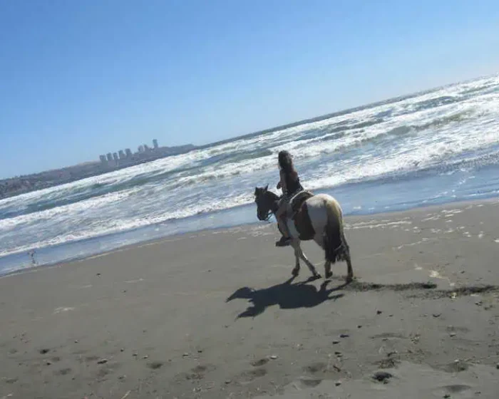 Chile Horse Riding
